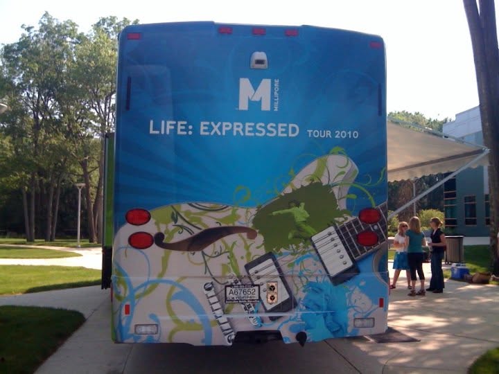 Bus Rear